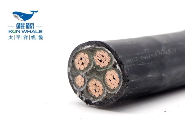 低煙無鹵電纜應用在哪些場所你知道嗎？